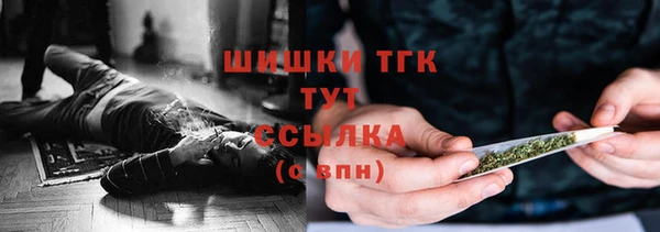 спайс Покачи