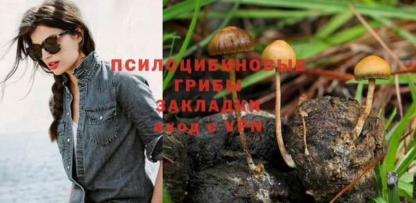 наркотики Богородск