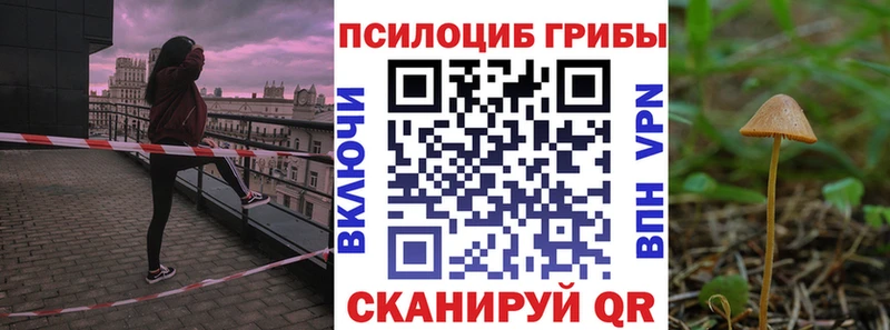 Галлюциногенные грибы Magic Shrooms  Купить где  Ардатов 